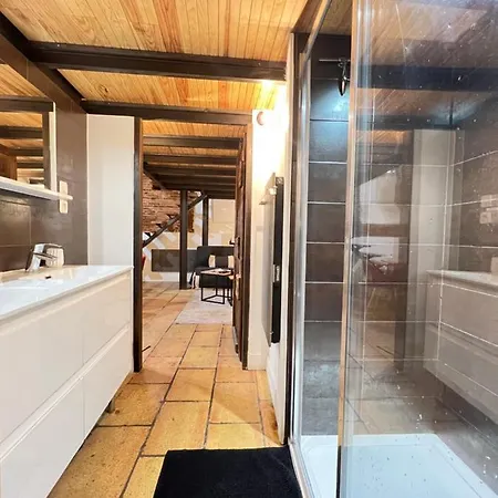 Apartment La Romance - Loft Ancien Au Coeur De Toulouse