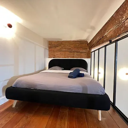 Apartment La Romance - Loft Ancien Au Coeur De Toulouse